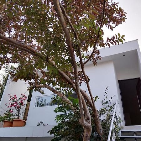 Вилла Casa Mango 3 Amplio Departamento Рио-Верде Экстерьер фото